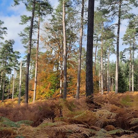 Appartamento Au Coin Des Fagnes Jalhay Esterno foto