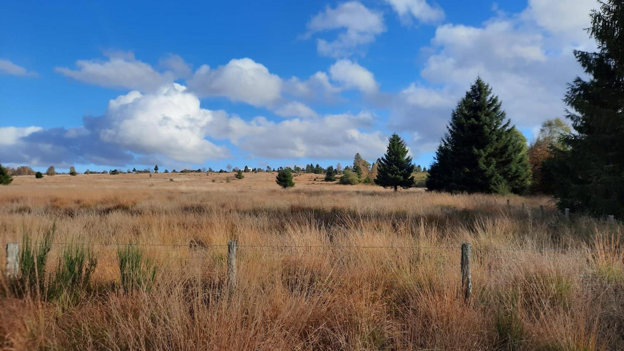Appartamento Au Coin Des Fagnes Jalhay Esterno foto