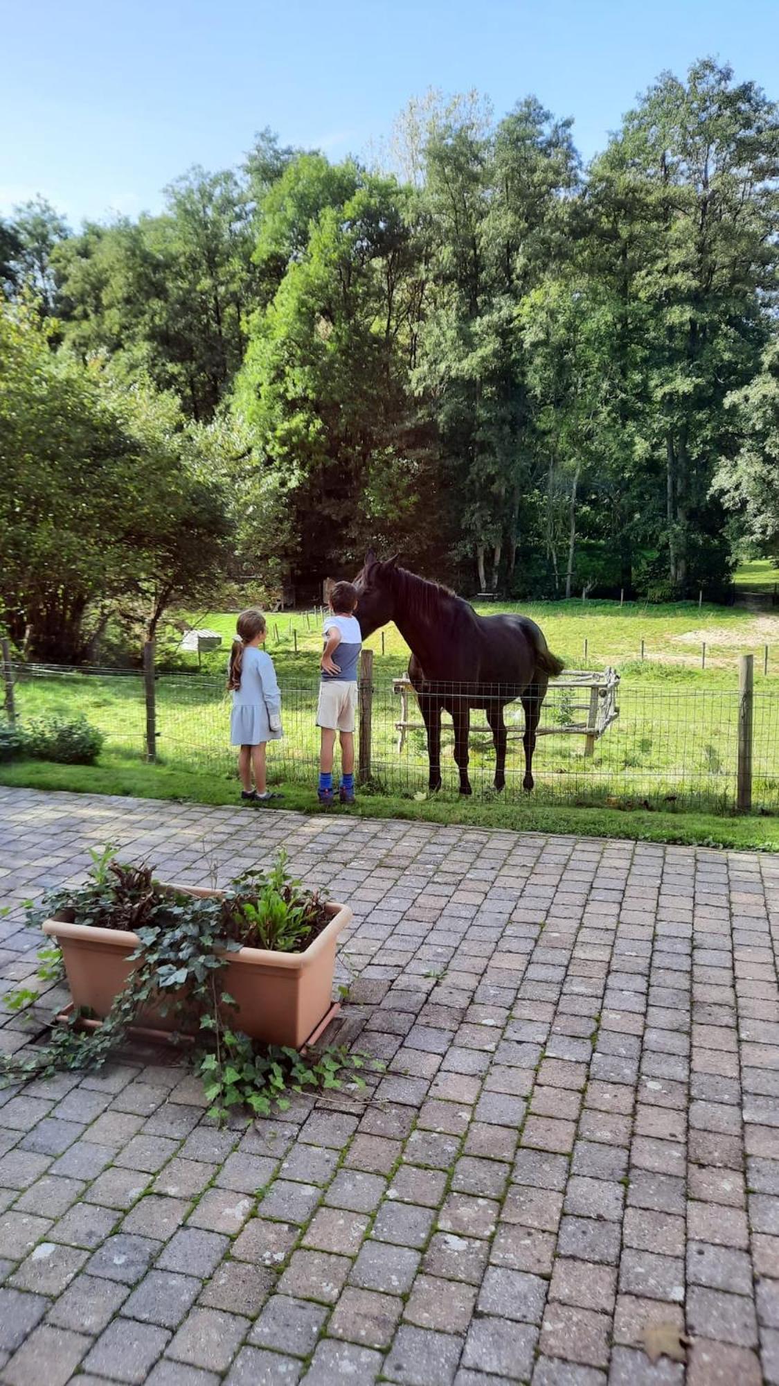 Appartamento Au Coin Des Fagnes Jalhay Esterno foto