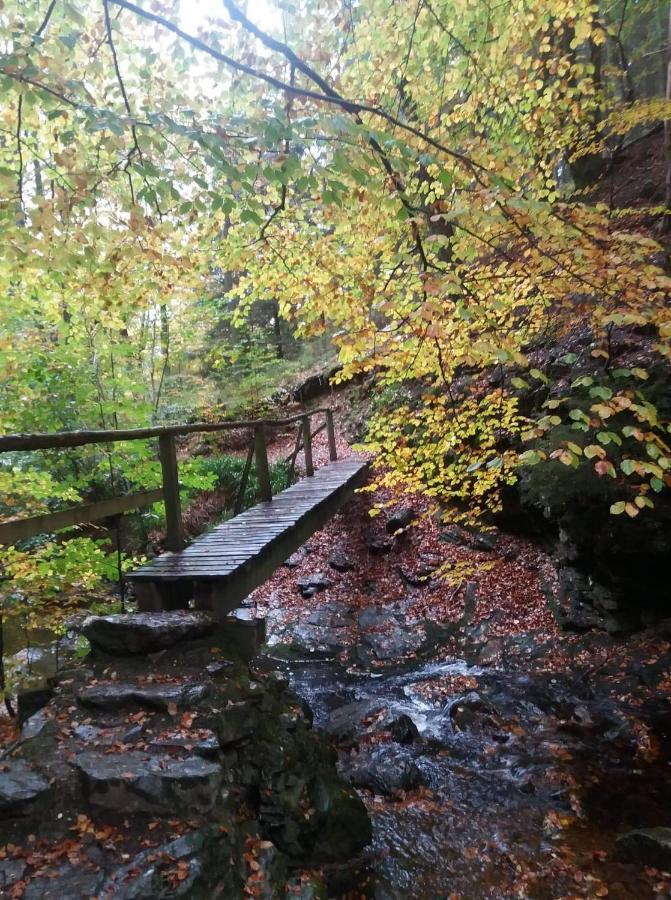 Appartamento Au Coin Des Fagnes Jalhay Esterno foto
